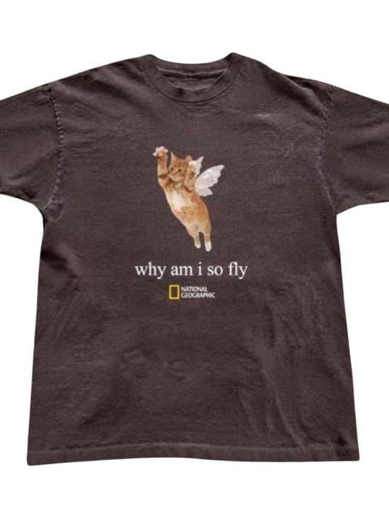 Gildan Tops - Gildan Brown Graphic Tee with Flying Cat Print